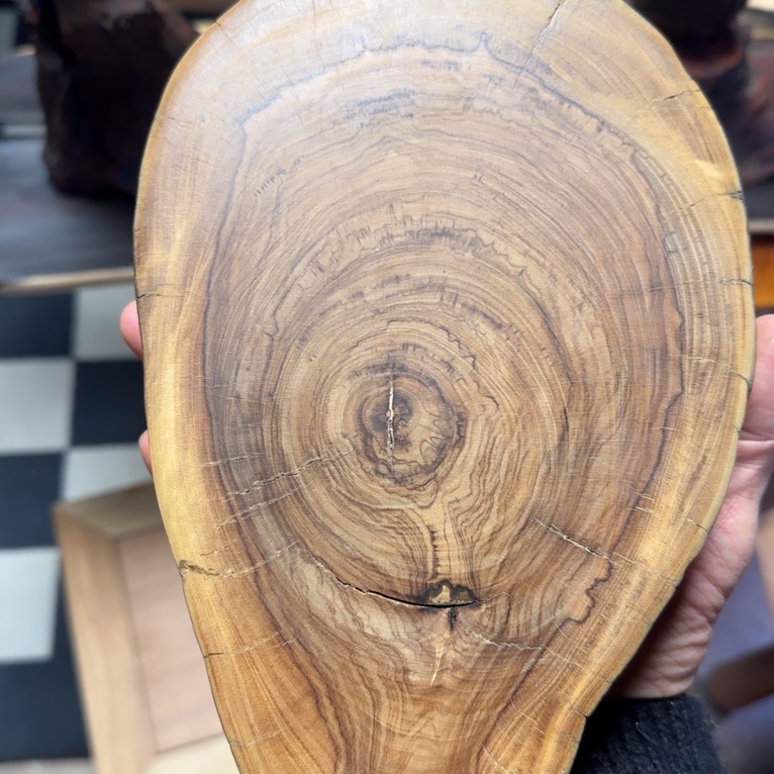 尤***树鬼柳1111111111111