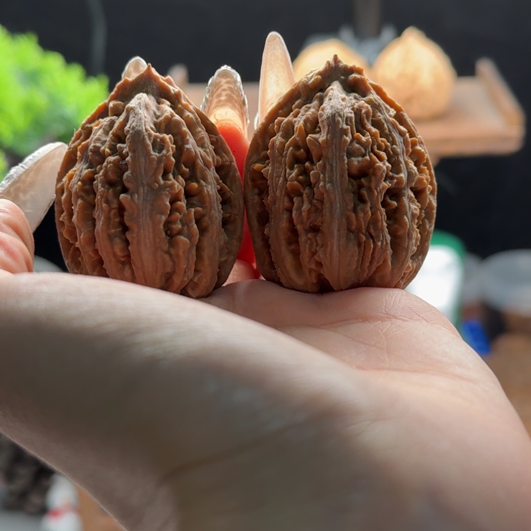 文玩核桃把件关东木子楸百核165