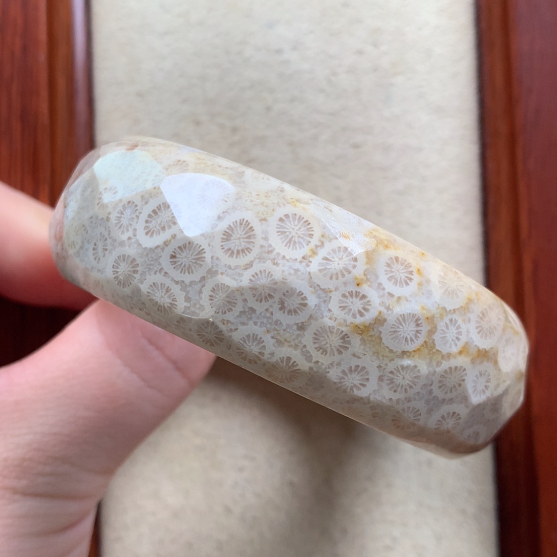 未镶嵌切面镯55.4圈漏100/个。09硅化珊瑚（珊瑚玉）