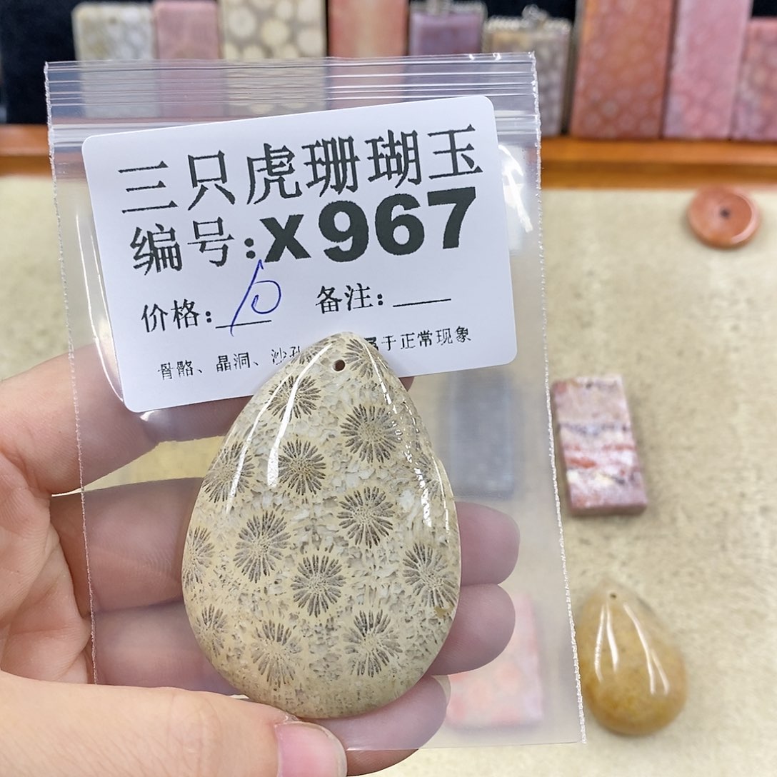 硅化珊瑚（珊瑚玉）1未镶嵌k***n