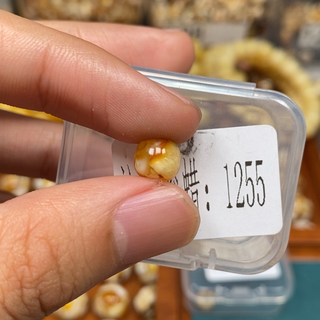 蜜蜡未镶嵌珠宝奇石1255