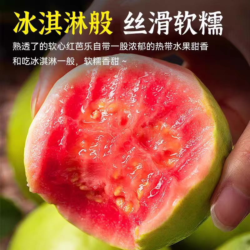 【红心芭乐】福建碱地红心芭乐/红色番石榴顺丰包邮