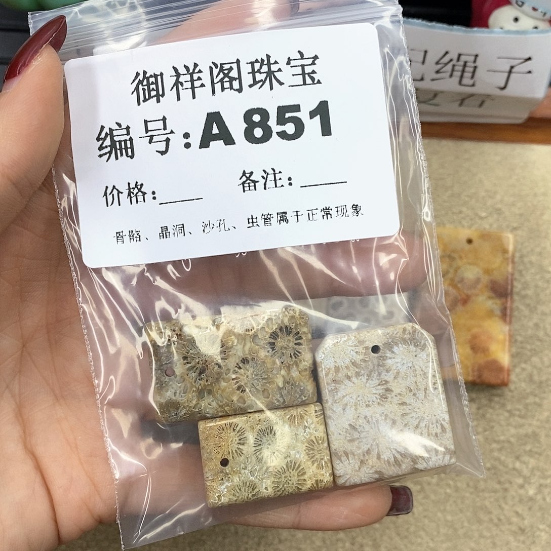 硅化珊瑚（珊瑚玉）A未镶嵌雪*?