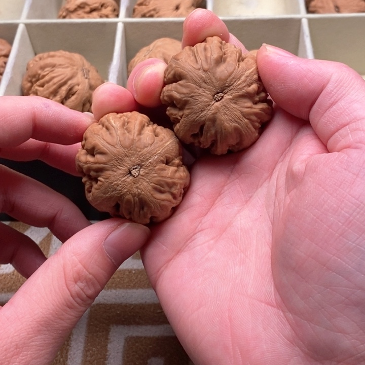 把件文玩核桃✨****✨