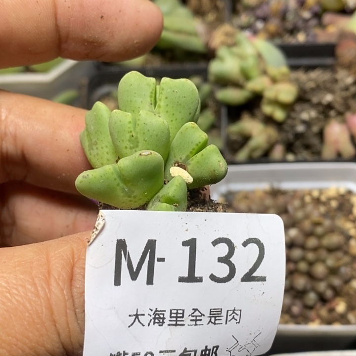 8***2565665666689999999