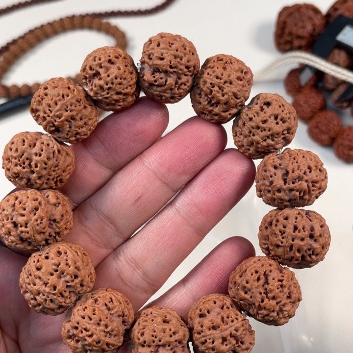 金刚菩提手串23安娜铁籽蜂王