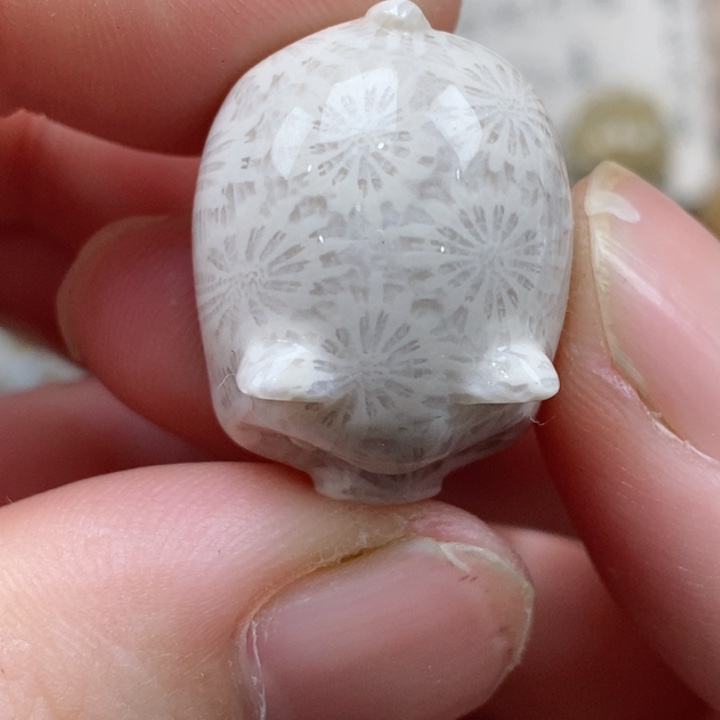 颈饰未镶嵌硅化珊瑚（珊瑚玉）小