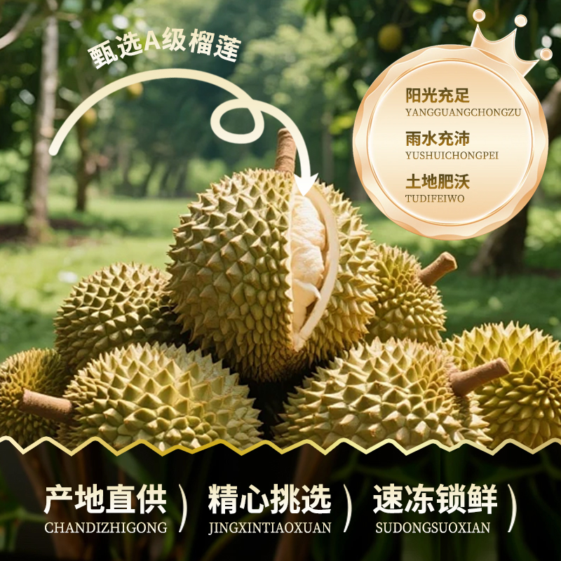【A级猫山王，很多肉！】顺丰发货泰国树熟猫山王液氮锁鲜榴莲肉