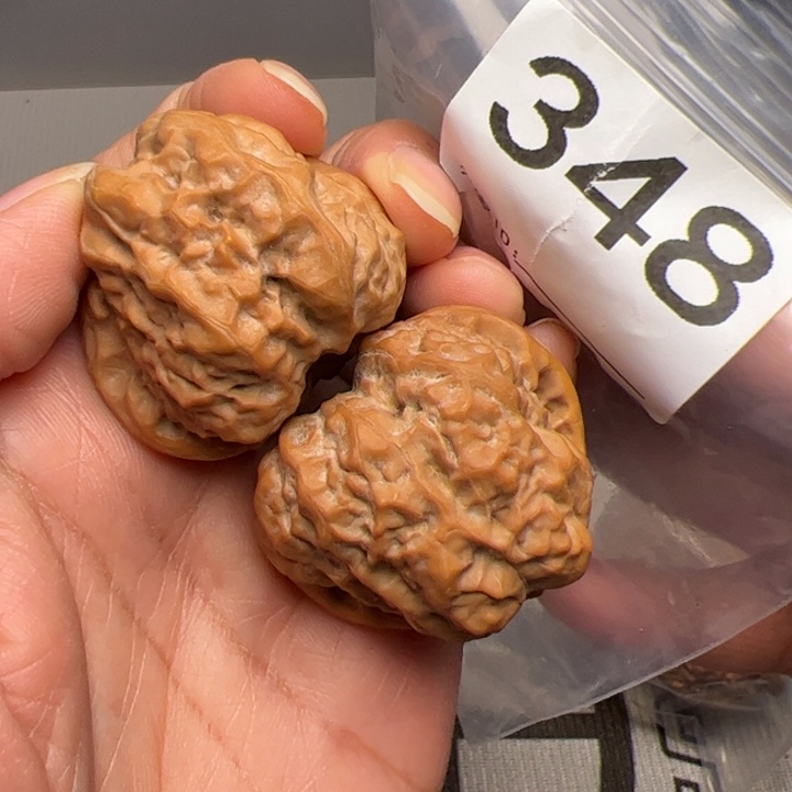 核桃38边41肚348号