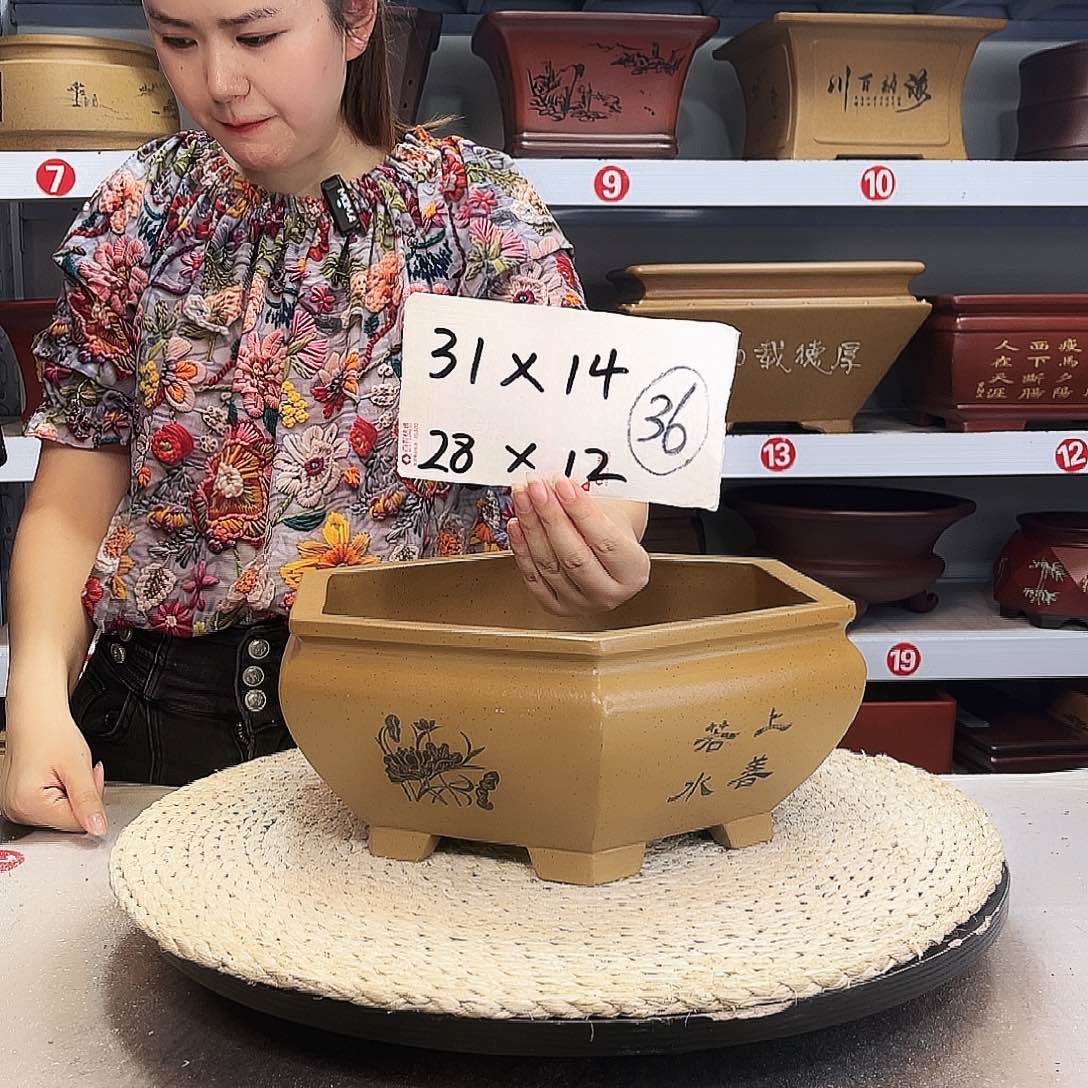 紫砂花盆紫砂花盆