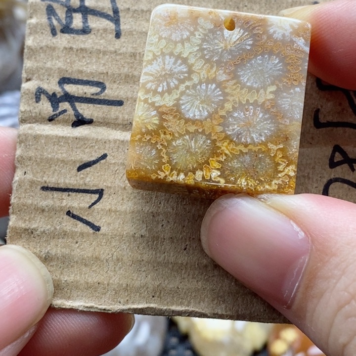 硅化珊瑚（珊瑚玉）颈饰未镶嵌