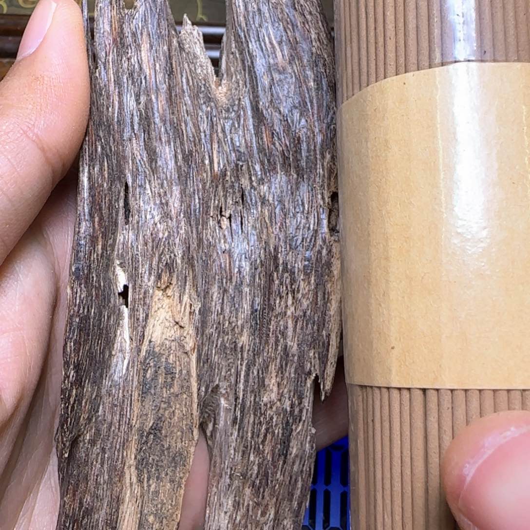 海南尖峰岭老虫漏19克重福利