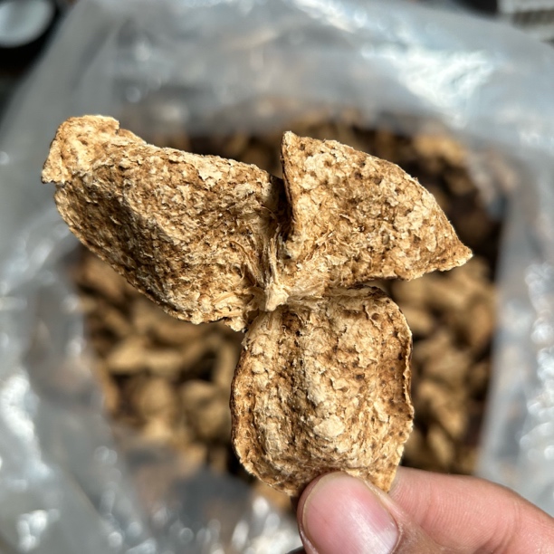 2021年新会天马老树原枝，核心产区，生晒陈化 泡茶煲汤！