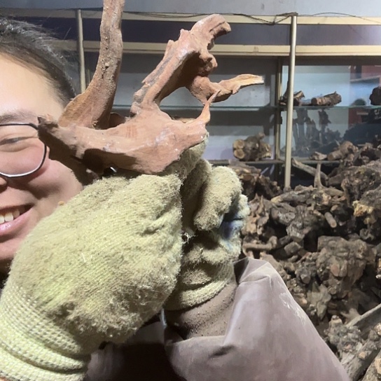 香榧木顺火琉璃的故事毛料摆件