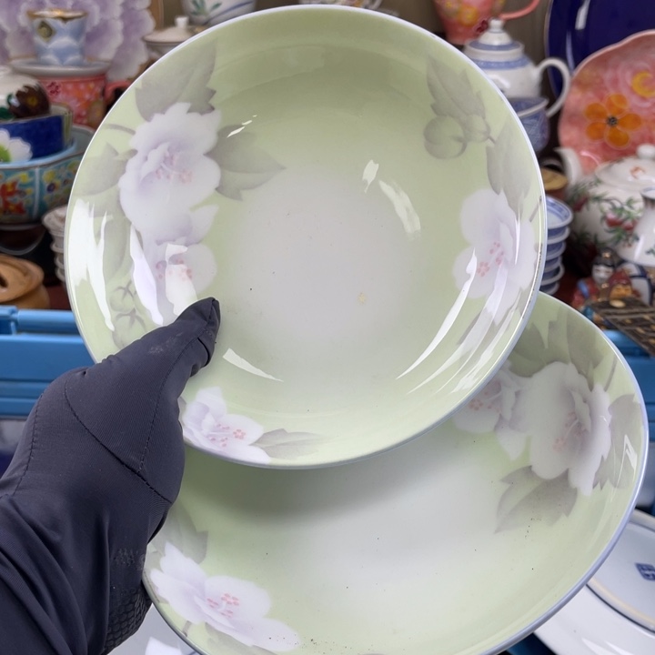 碟开播了开播了开播了