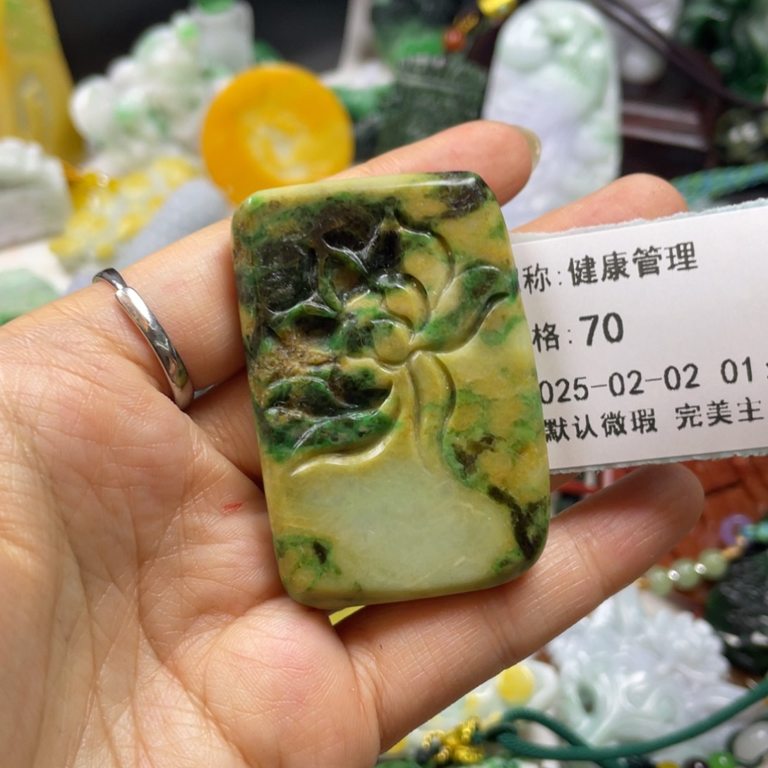 翡翠颈饰未镶嵌健**理牌子