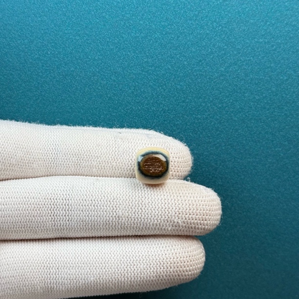 D50-86天然猛犸牙 蓝眼睛老型珠11.3*10.4mm一物一图假一罚十