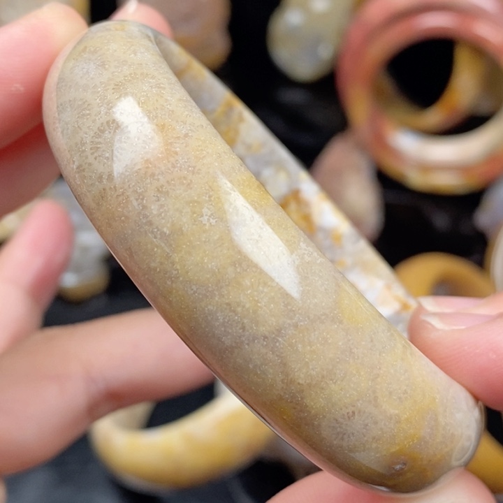 未镶嵌手镯硅化玉57