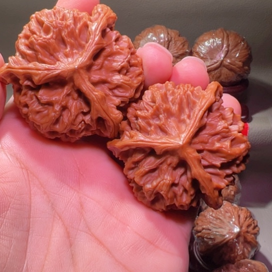 把件文玩核桃顶级孤品球奔51边35高120开角