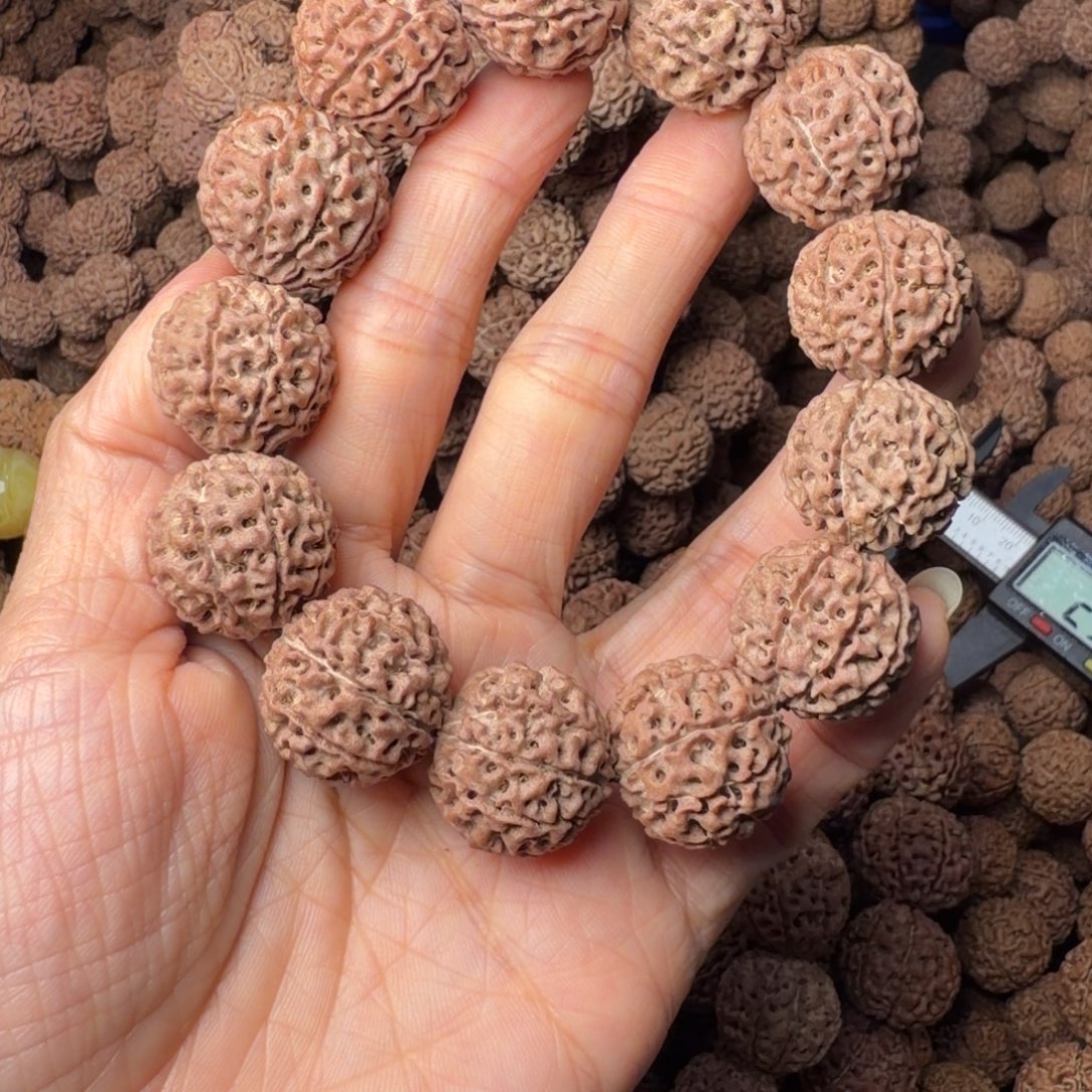 手串金刚菩提9瓣卡21尺，97号