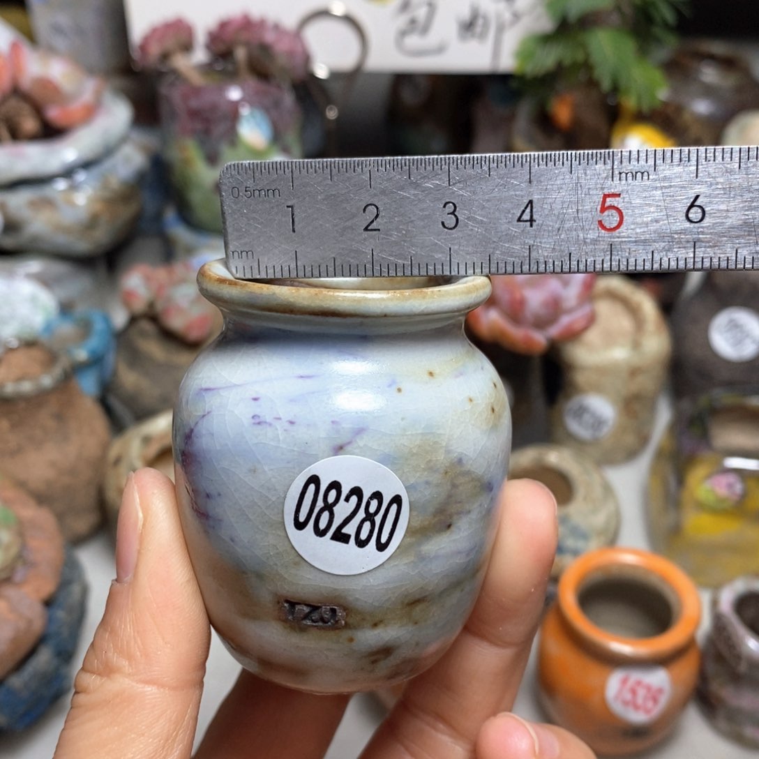 花盆拍5送一个小礼物