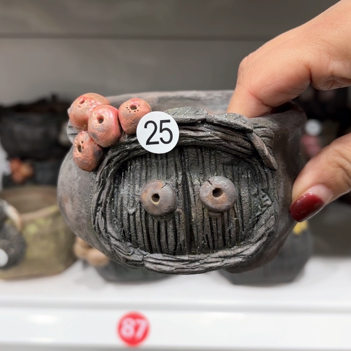 红陶朵*内敛的人是不可能