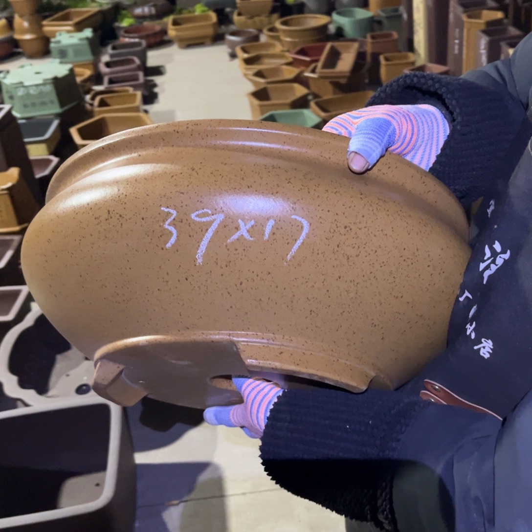 紫砂花盆盆景艺术