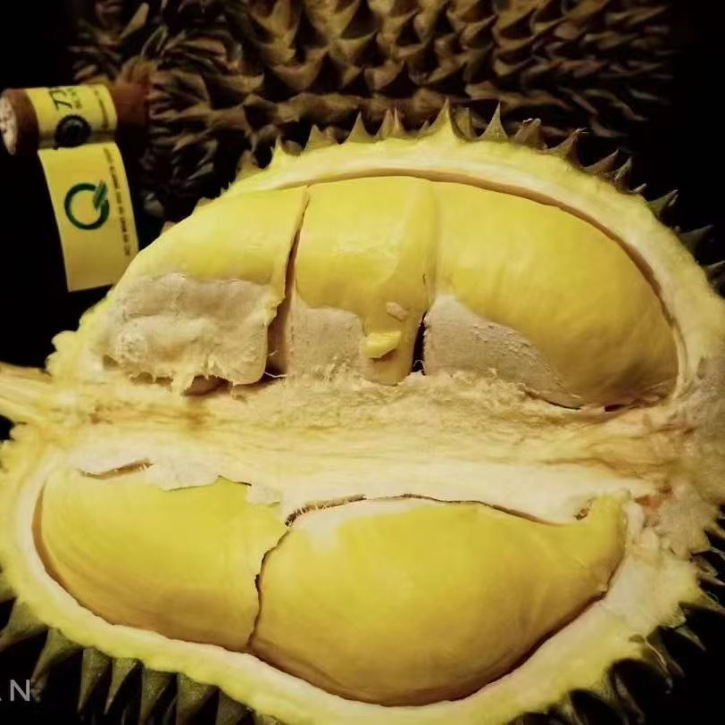 刀巴李极品新鲜金枕榴莲核小3-3.2斤金枕泰国