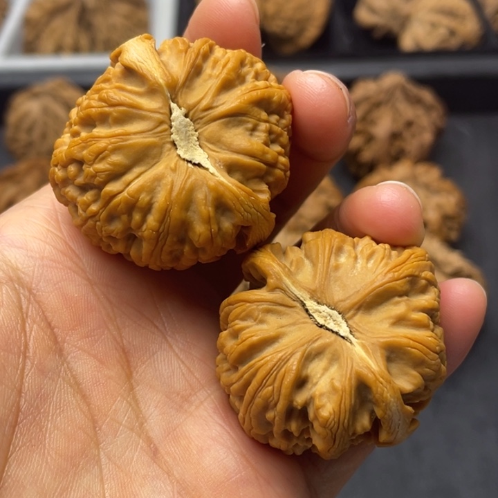 文玩核桃吊坠突突突突突突