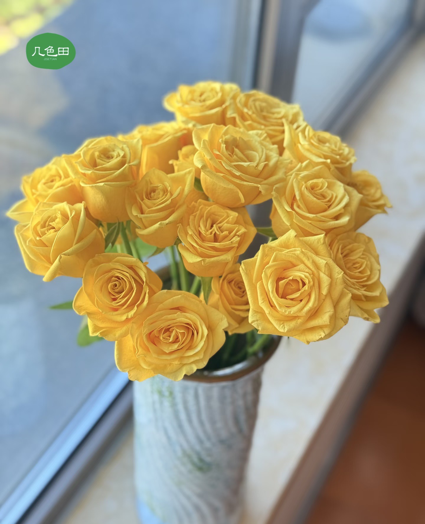 金枝玉叶—单头玫瑰云南直发鲜花云南花插花鲜花 