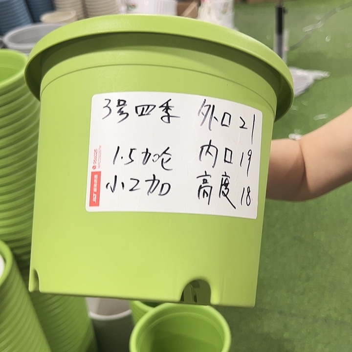 特价3号四季口21高18果绿10只无托