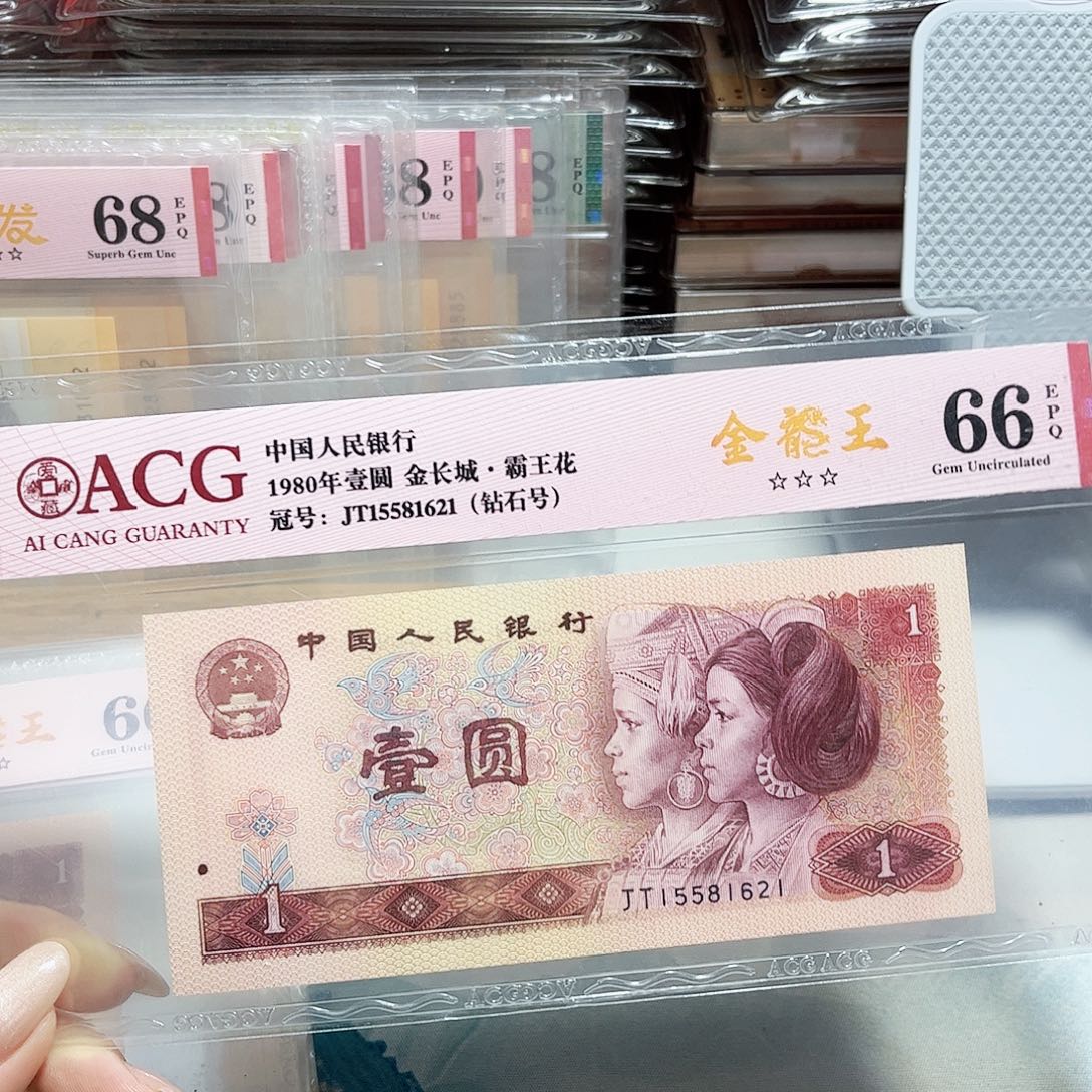 15581621。。。。金龙王 生日号