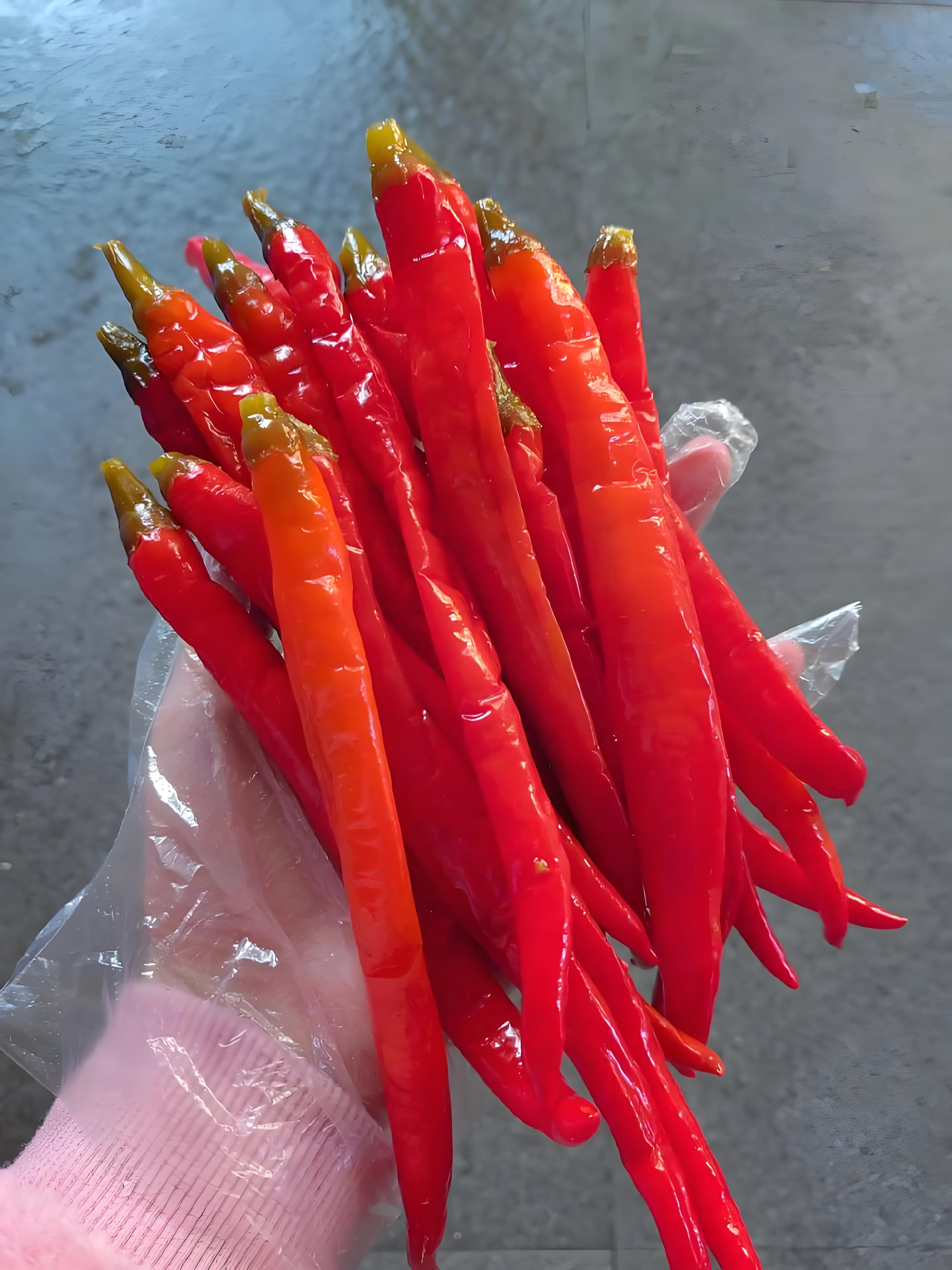 乡行者走乡村农家纯手工酸辣椒/剁辣椒拌饭拌粉炒菜酸辣开胃