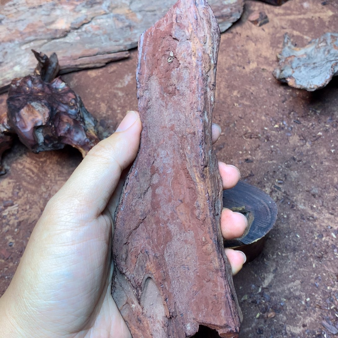 明***月黄花梨/降香黄檀把件原料定制不退不换