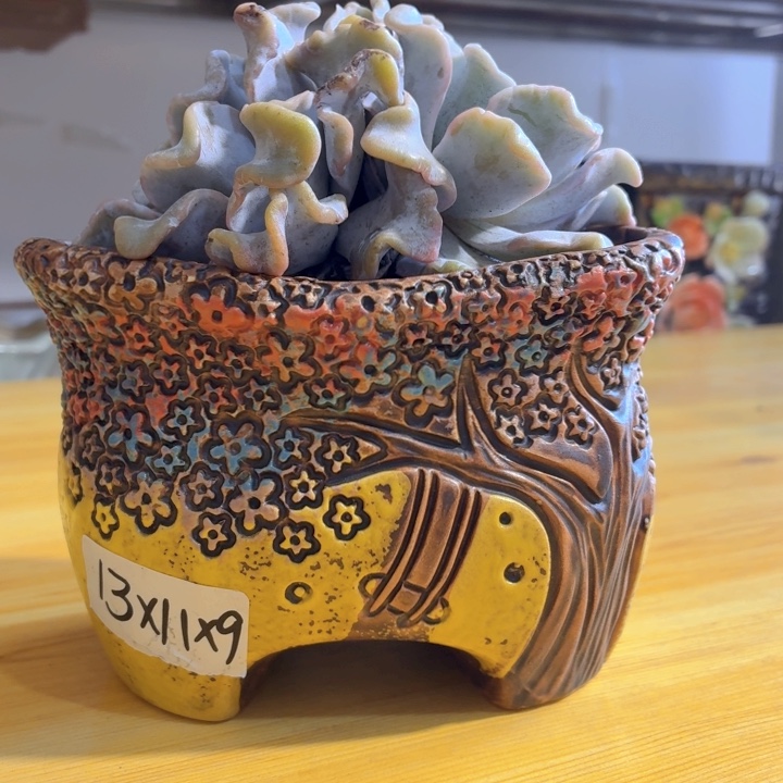 多肉花盆，满15包邮