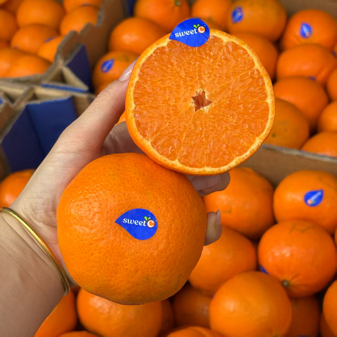 南非克莱蒙软皮柑 香甜多汁 约3斤/5斤