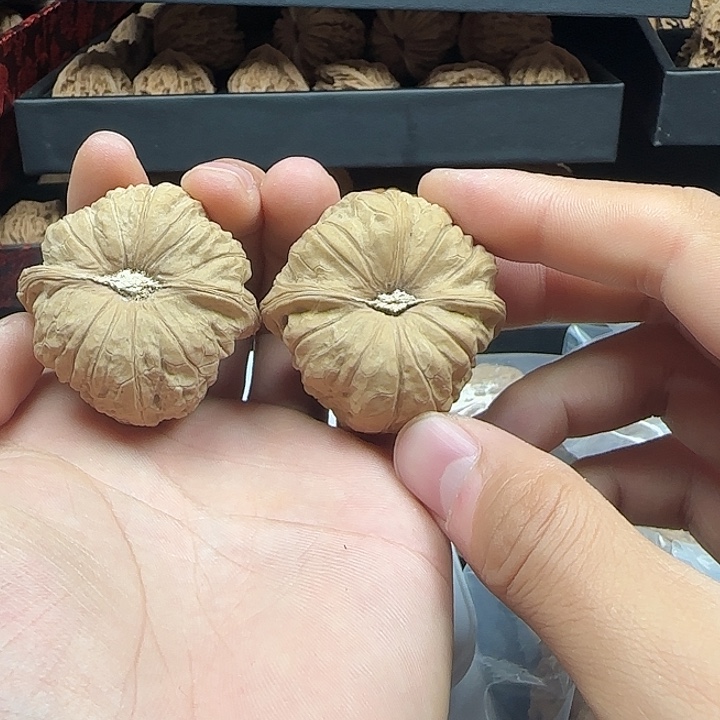 ****三吊坠龙脊菩提啊啊啊啊啊啊啊南瓜2