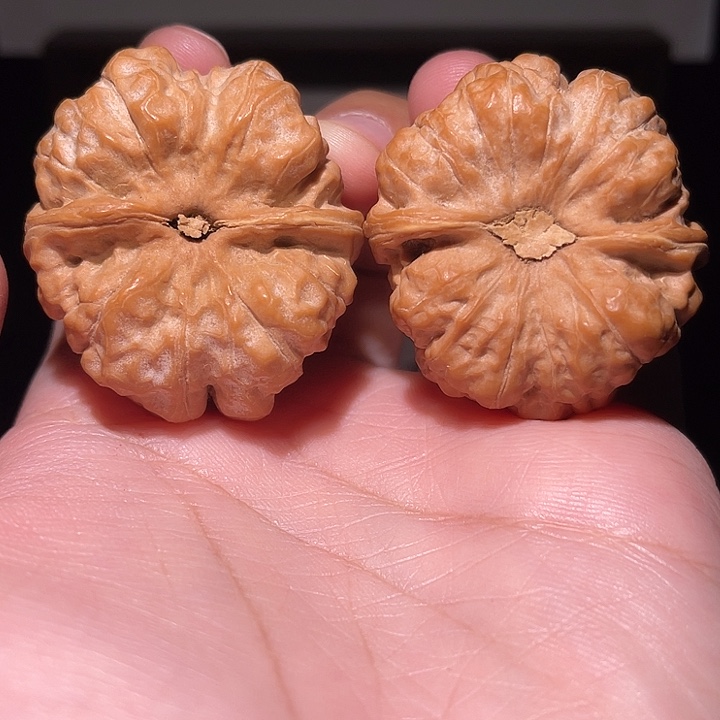 z***0核桃手串/手链蛤蟆  