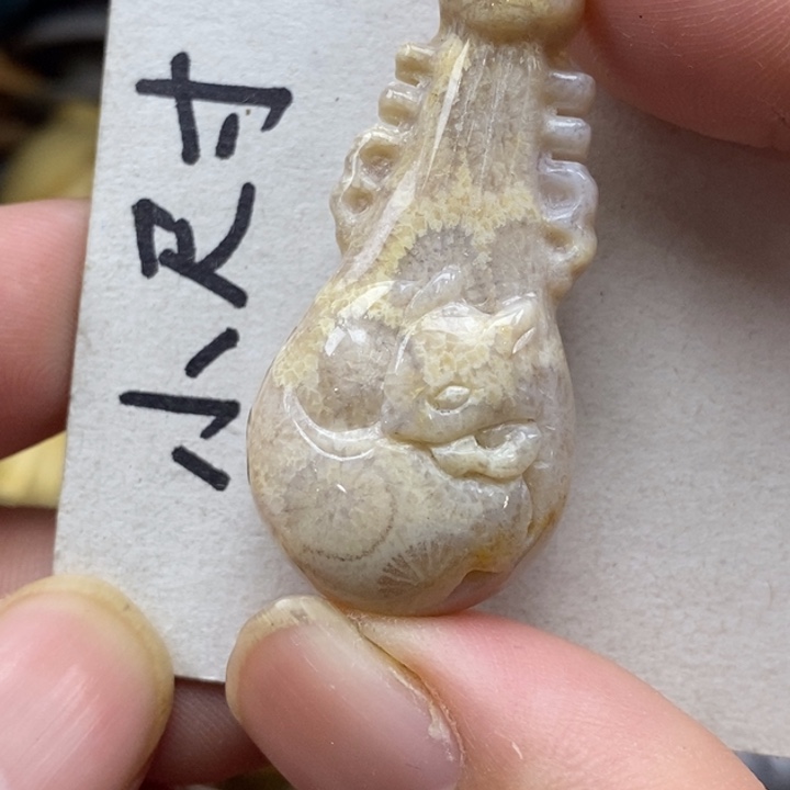 硅化珊瑚（珊瑚玉）未镶嵌颈饰