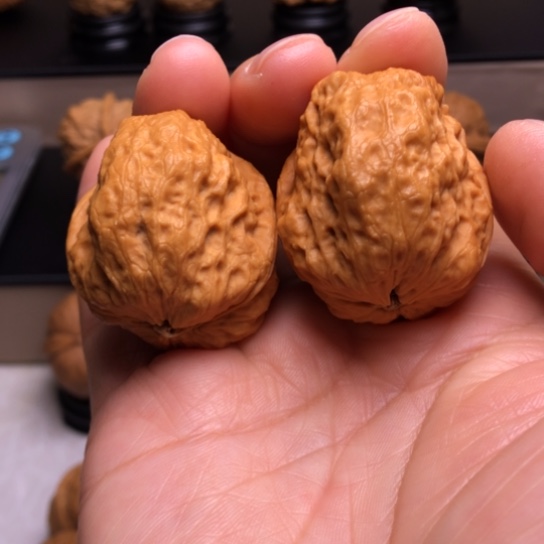 文玩核桃把件龙脊妖蟾19