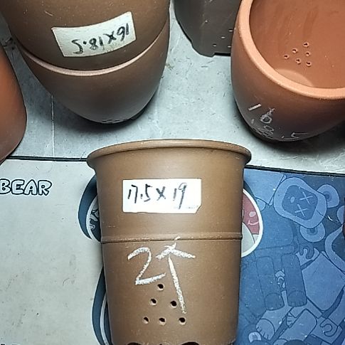 腰缠万贯两个微瑕