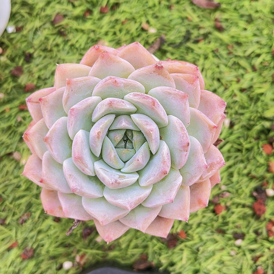 55555555555555555555