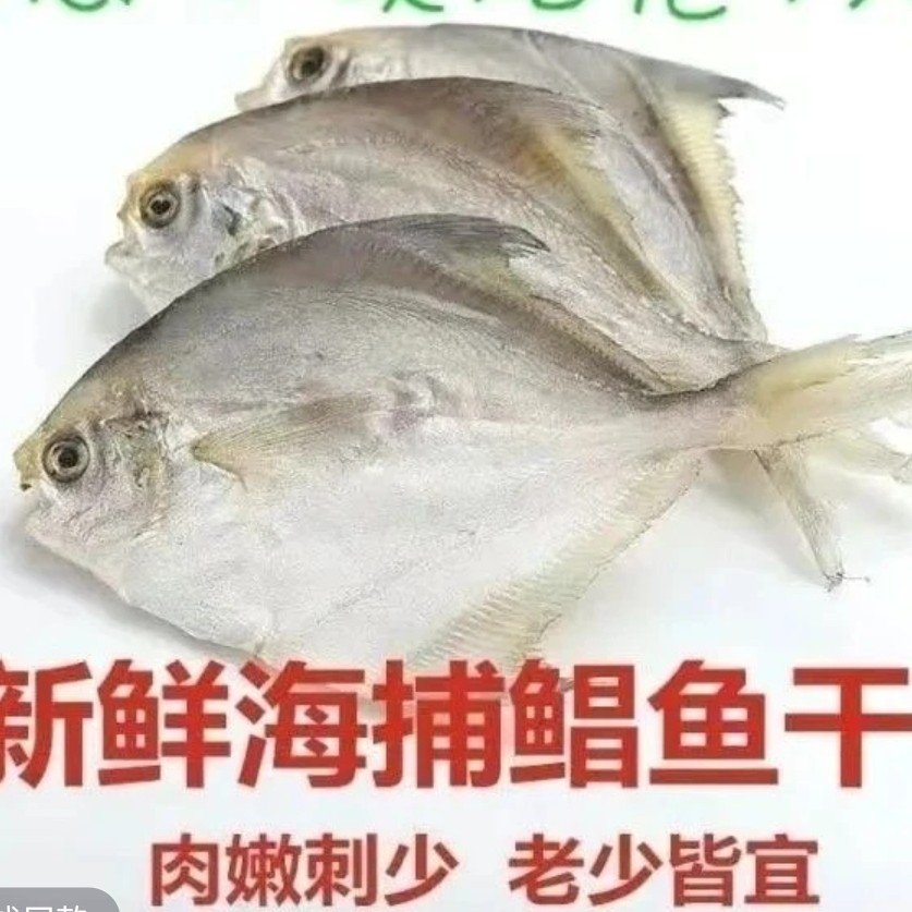 【双旦活动】新鲜野生平鱼鱼干超值礼盒 4 斤装发货