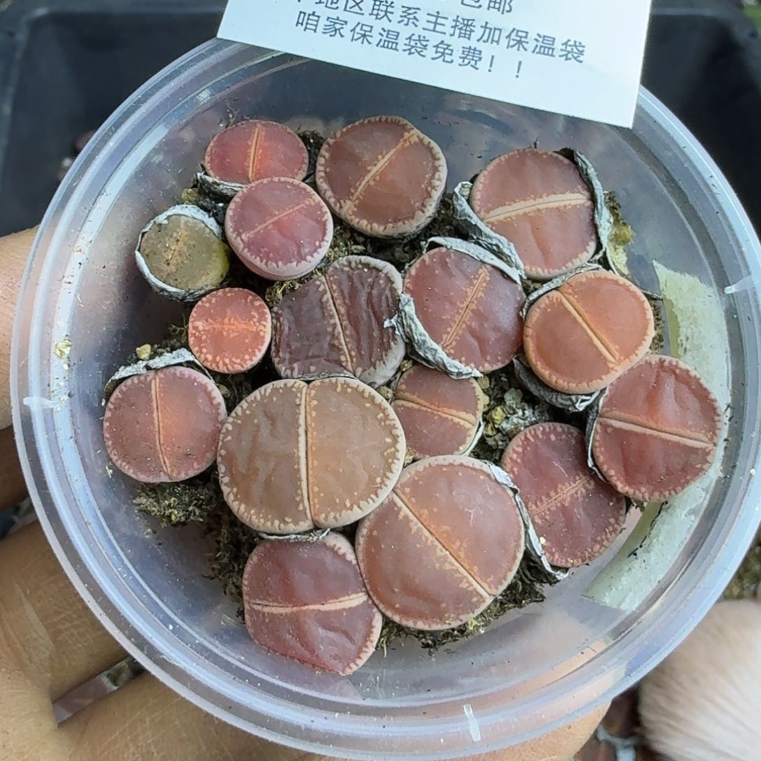 1465 哈哈哈哈哈哈哈哈哈哈