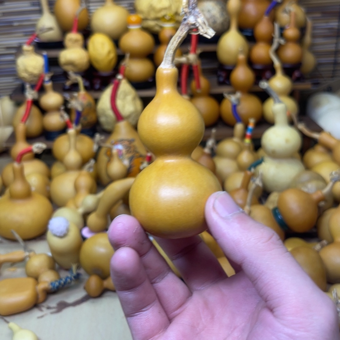 厚皮响籽天津嘴27