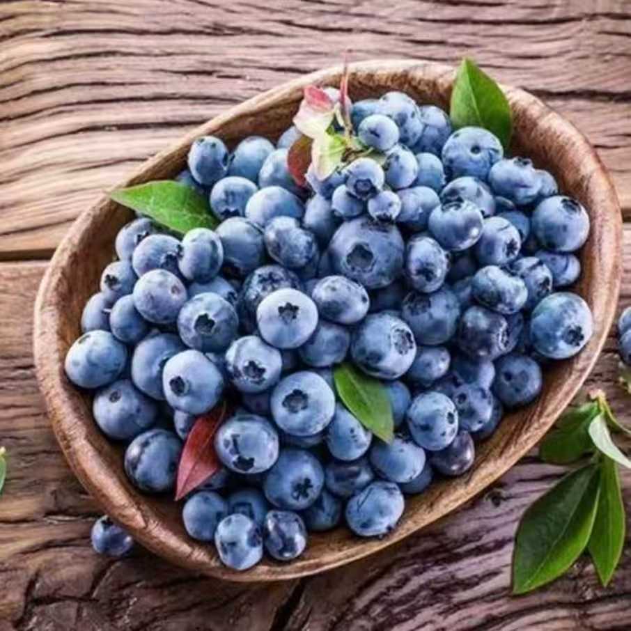 云南高山蓝莓产地现采现发产地直发18-15mm大果顺丰京东.