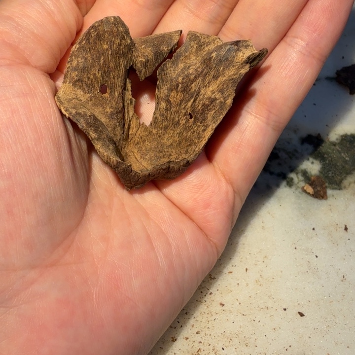 全***家吊坠沉香八十年代海南包壳3.31克