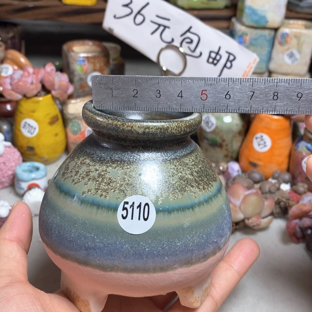 拍5送一个小礼物