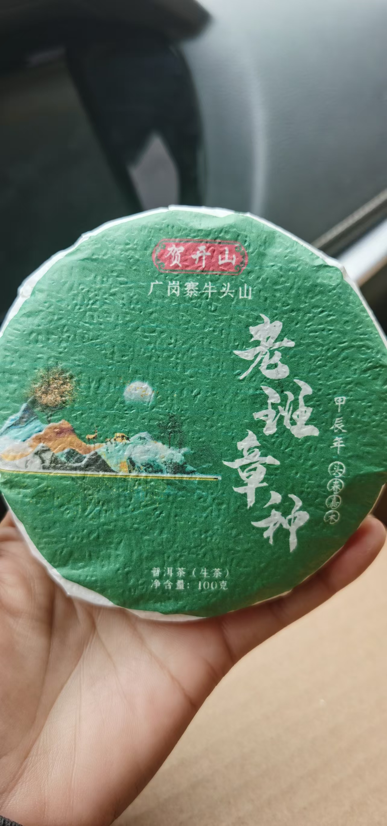 班章种  25年  头春乔木