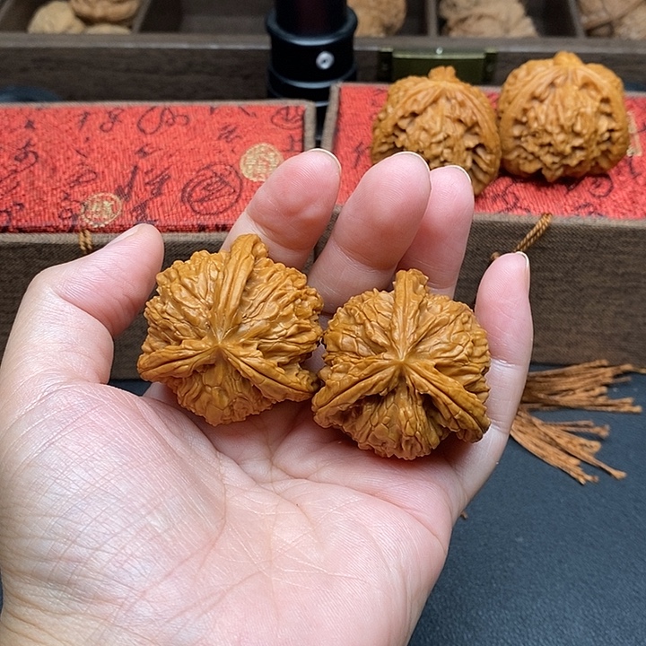 阿***斯把件文玩核桃白奔